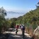 A group of people bike riding downhill on a path lined with vegetation.